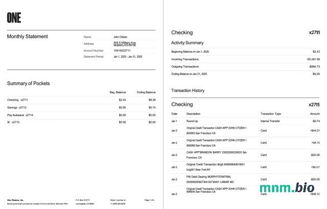 USA Green Dot konto statement szablon Worda i PDF, 2 stronas